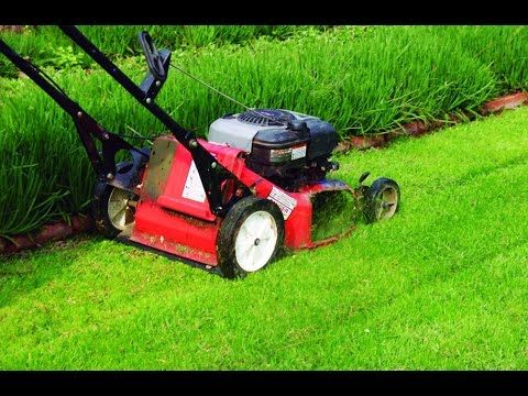 Fundación El Alcaraván